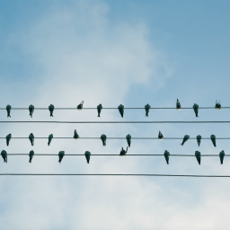 Why knowledge sharing should be your #1 priority