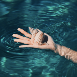 World Oceans Month: an invitation for businesses to ”dive in”