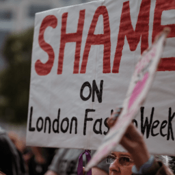 Undressing the fashion industry