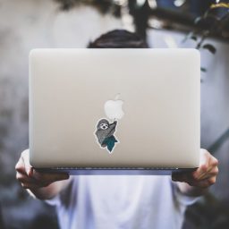 Switch to this green search engine