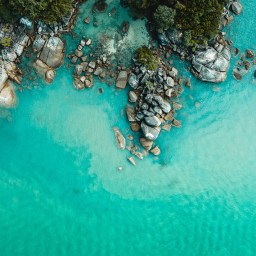 World Oceans Month: an invitation for businesses to ”dive in”